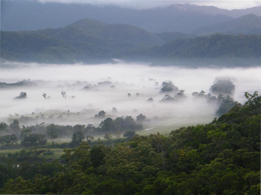 Cloud 9 Villa Daintree Ngoại thất bức ảnh