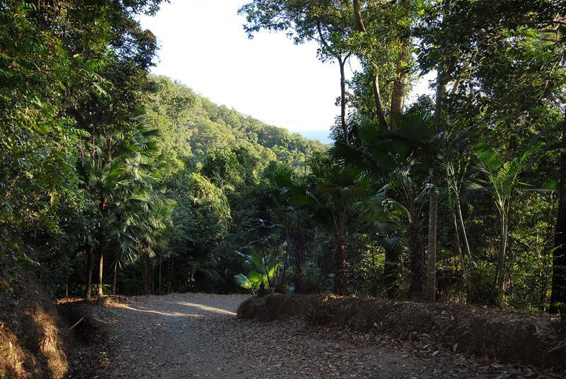 Cloud 9 Villa Daintree Ngoại thất bức ảnh