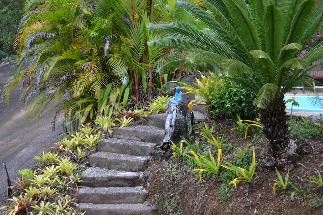 Cloud 9 Villa Daintree Ngoại thất bức ảnh
